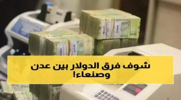 فوارق سعر الصرف بين عدن وصنعاء تكلف المواطن 1042 ريالاً إضافياً للدولار